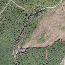 Satellite imagery of Kleiner Storchschnabel, DE