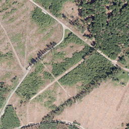 Satellite imagery of Kleiner Storchschnabel, DE