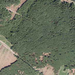 Satellite imagery of Kleiner Storchschnabel, DE