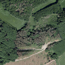 Satellite imagery of Altenberg, DE