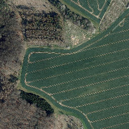 Satellite imagery of Beberberg, DE