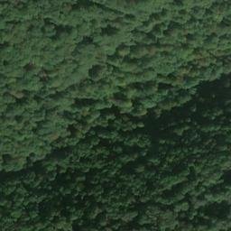 Satellite imagery of Steckenberg, DE