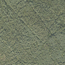 Satellite imagery of 251-A, NL