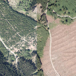 Satellite imagery of Nuttlarer Höhe, DE