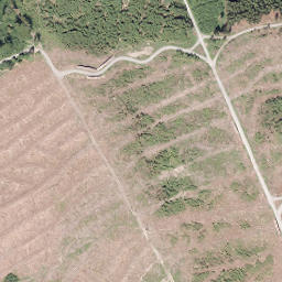Satellite imagery of Nuttlarer Höhe, DE