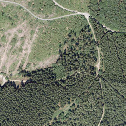 Satellite imagery of Sauerberg, DE