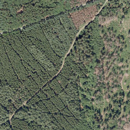 Satellite imagery of Sauerberg, DE