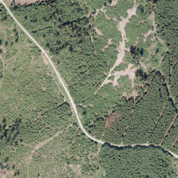 Satellite imagery of Sauerberg, DE