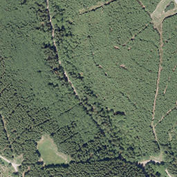 Satellite imagery of Kleiner Storchschnabel, DE