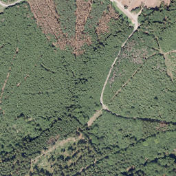 Satellite imagery of Kleiner Storchschnabel, DE