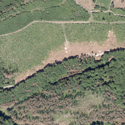 Satellite imagery of Kleiner Storchschnabel, DE