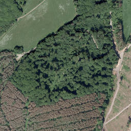 Satellite imagery of Altenberg, DE