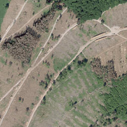 Satellite imagery of Altenberg, DE