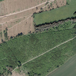Satellite imagery of Altenberg, DE