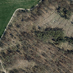 Satellite imagery of Rosenberg, DE