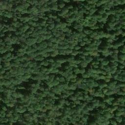 Satellite imagery of Ruhnsburg, DE
