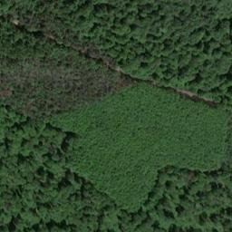 Satellite imagery of Schneeberg, DE