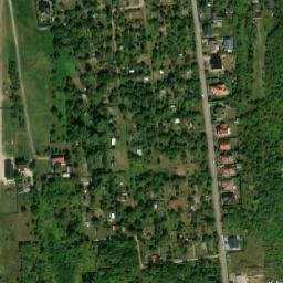 Satelita