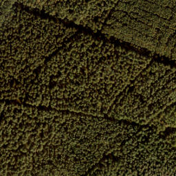 Satellite imagery of boundary_stone, NL