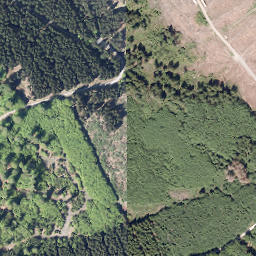 Satellite imagery of Nuttlarer Höhe, DE
