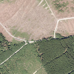Satellite imagery of Nuttlarer Höhe, DE