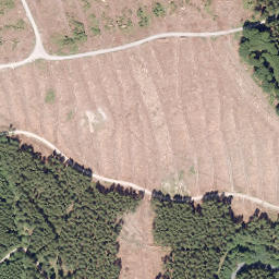 Satellite imagery of Nuttlarer Höhe, DE