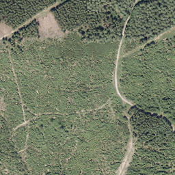 Satellite imagery of Sauerberg, DE