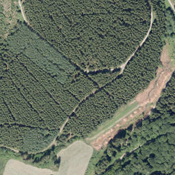 Satellite imagery of Kleiner Storchschnabel, DE