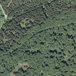 Satellite imagery of Kleiner Storchschnabel, DE