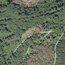 Satellite imagery of Kleiner Storchschnabel, DE