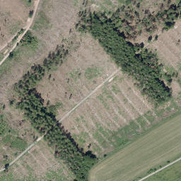 Satellite imagery of Altenberg, DE
