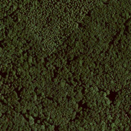 Satellite imagery of Großer Stuvenberg, DE