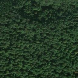 Satellite imagery of Steckenberg, DE
