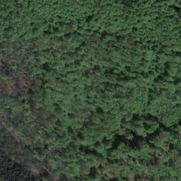 Satellite imagery of Heidelberg, DE