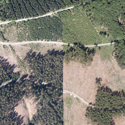 Satellite imagery of Nuttlarer Höhe, DE