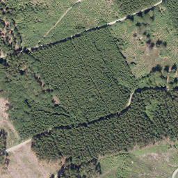 Satellite imagery of Nuttlarer Höhe, DE