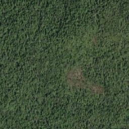 Satellite imagery of Mount Rivers, CA