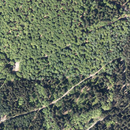 Satellite imagery of Warsteiner-Kopf, DE