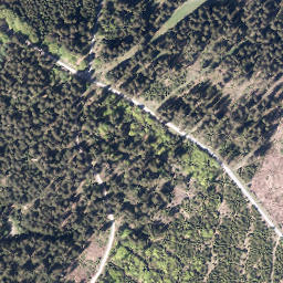 Satellite imagery of Warsteiner-Kopf, DE