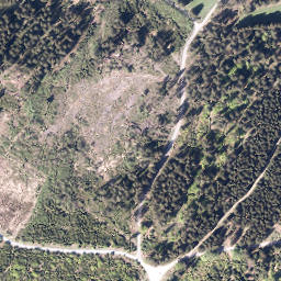 Satellite imagery of Warsteiner-Kopf, DE