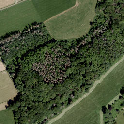 Satellite imagery of Romberg, DE
