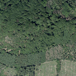 Satellite imagery of Lüchtenberg, DE