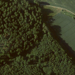 Satellite imagery of Heidelbeerenberg, DE