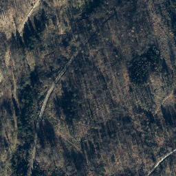 Satellite imagery of Wildhecker Kopf, DE