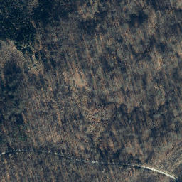 Satellite imagery of Wildhecker Kopf, DE