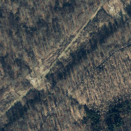 Satellite imagery of Wildhecker Kopf, DE