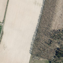 Satellite imagery of Mühlberg, DE