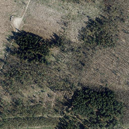 Satellite imagery of Mühlberg, DE
