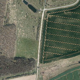 Satellite imagery of Mühlberg, DE