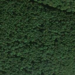 Satellite imagery of Mittelberg, DE